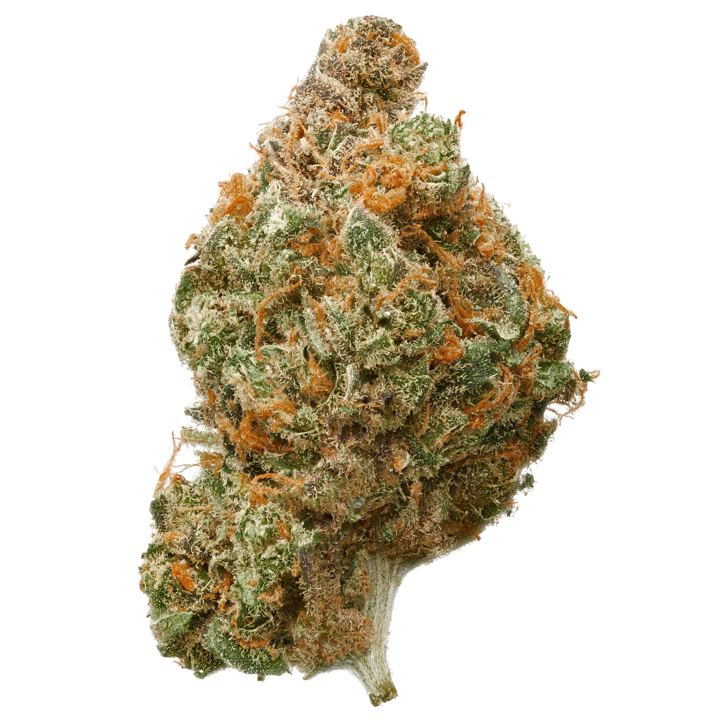 SKUNK