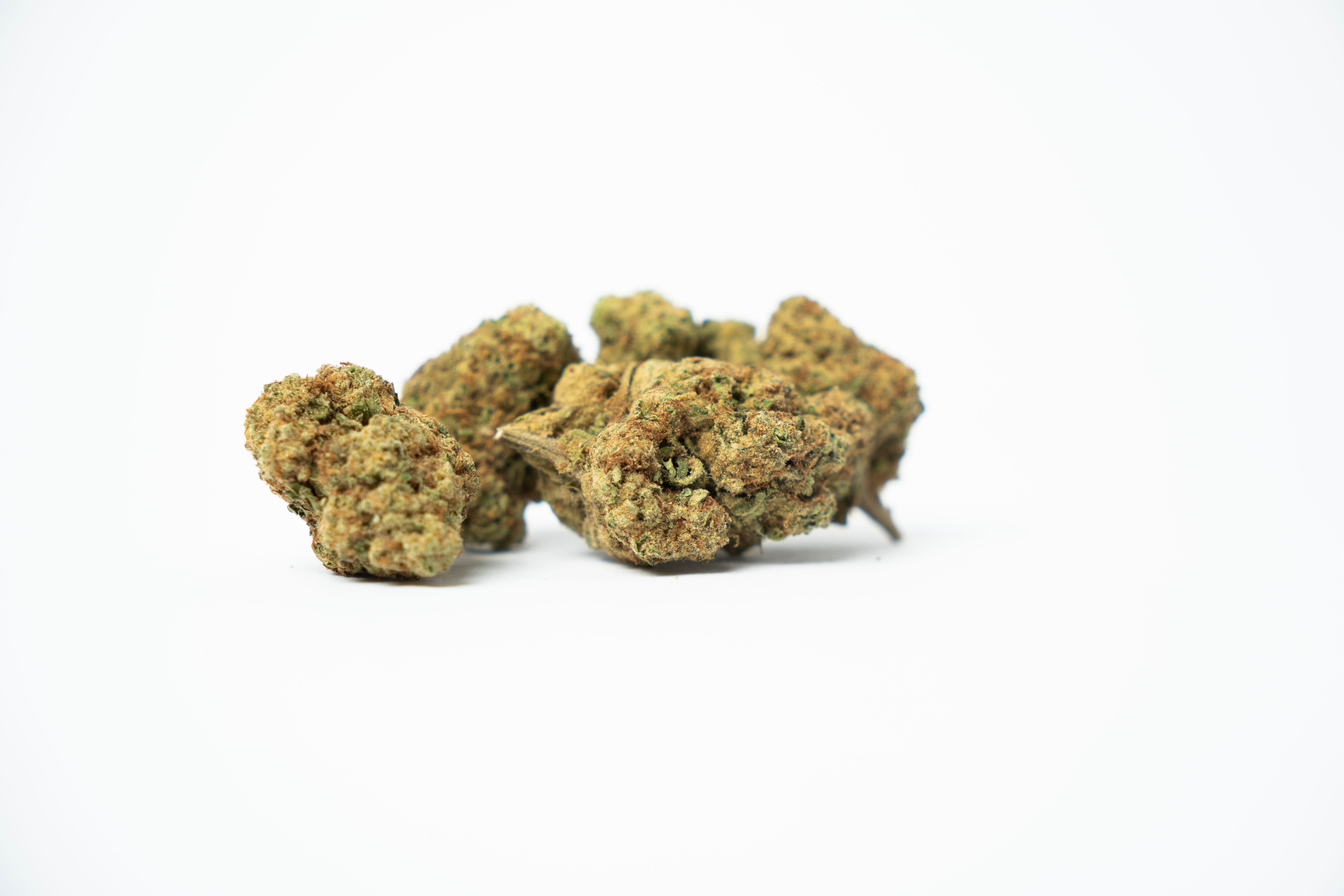 Blueberry Muffin 23% THCa | CBD Topskud Danmark | WEEDSTOP