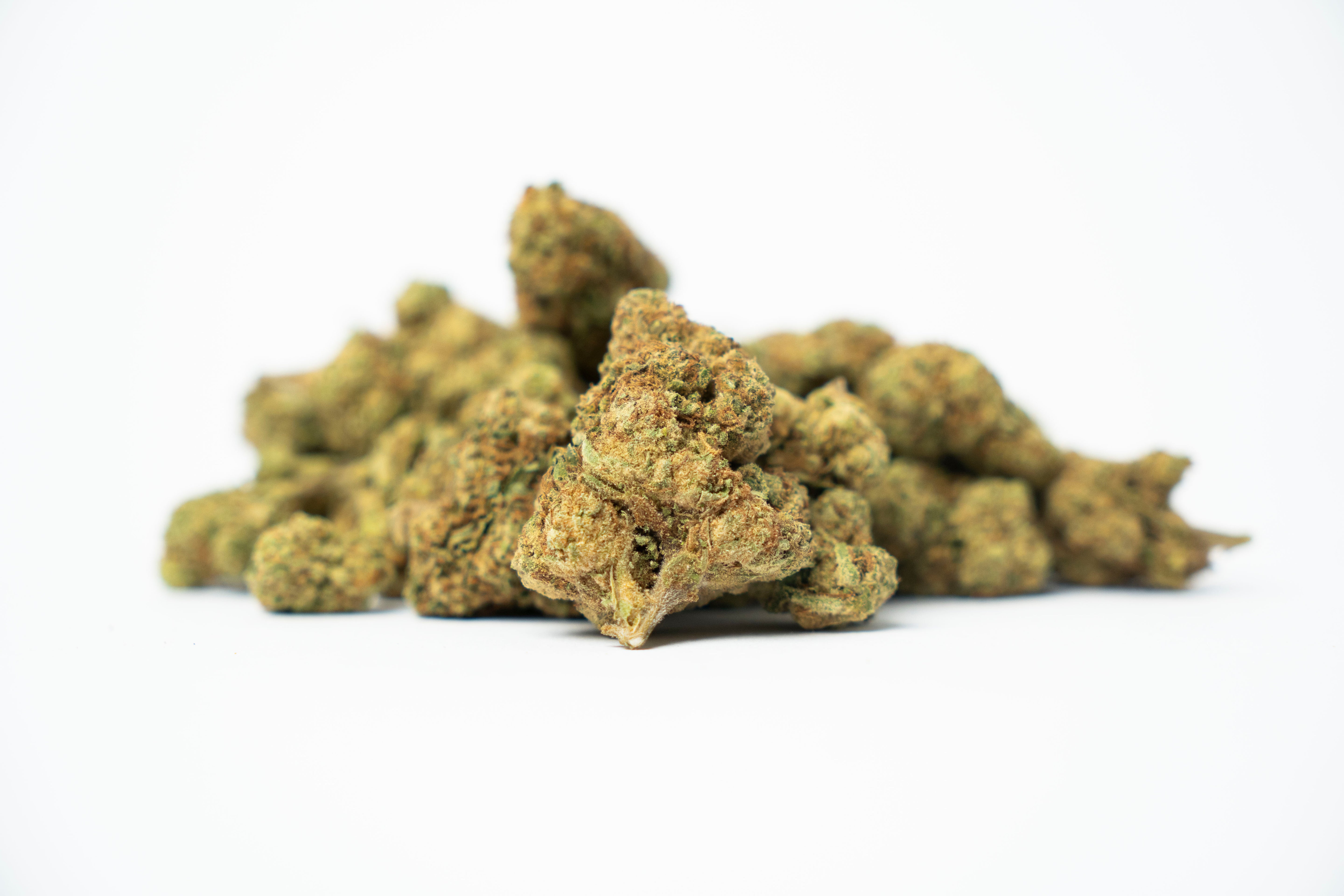 Blueberry Muffin 23% THCa | CBD Topskud Danmark | WEEDSTOP