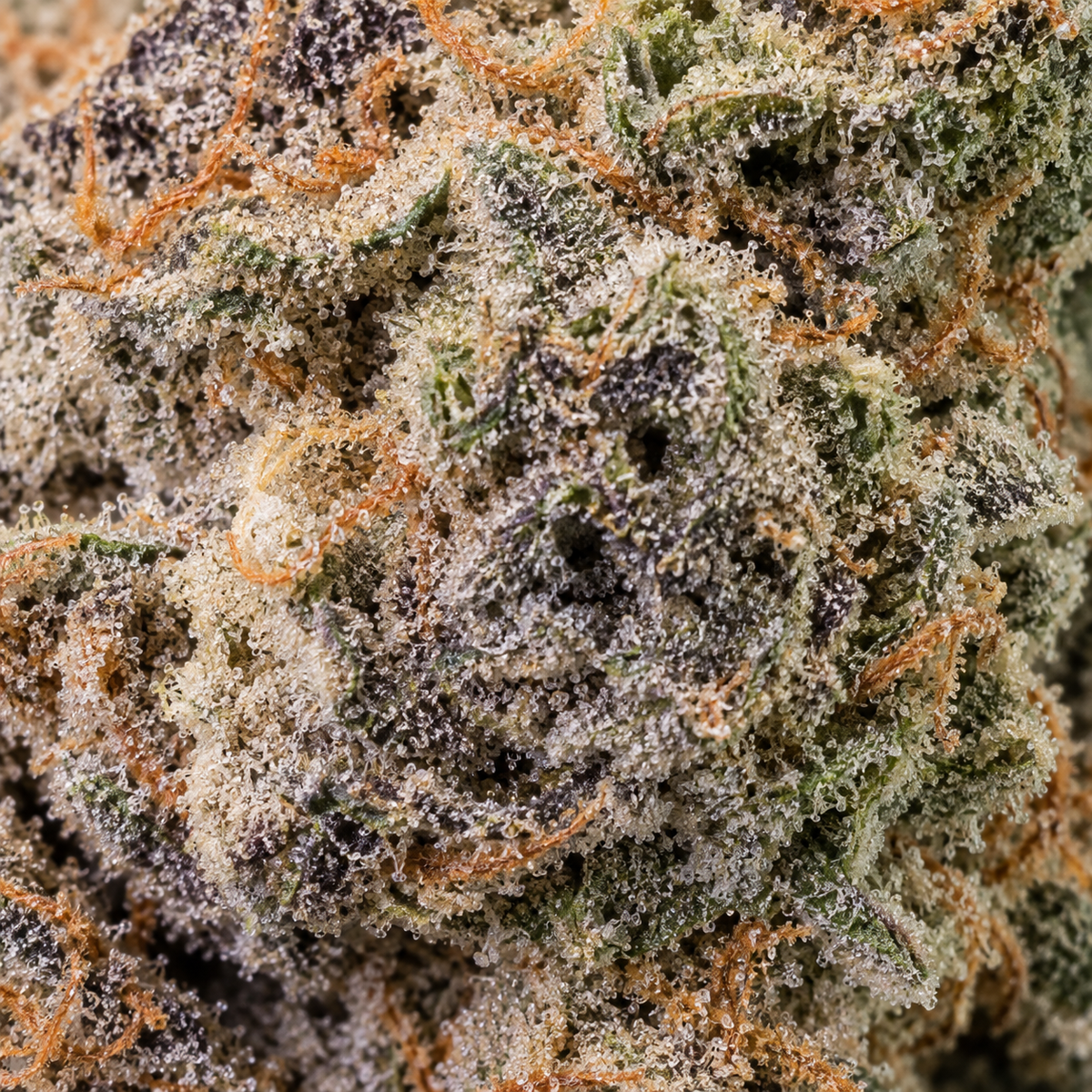 Lemon O.G | 27% THCA