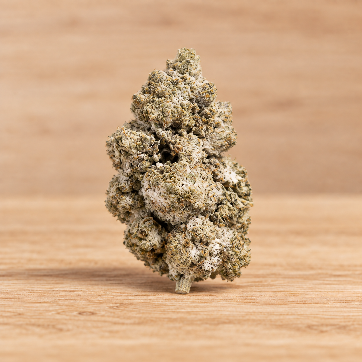 LA Push Pop | 27% THCA