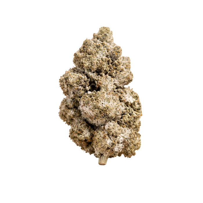 LA Push Pop | 27% THCA