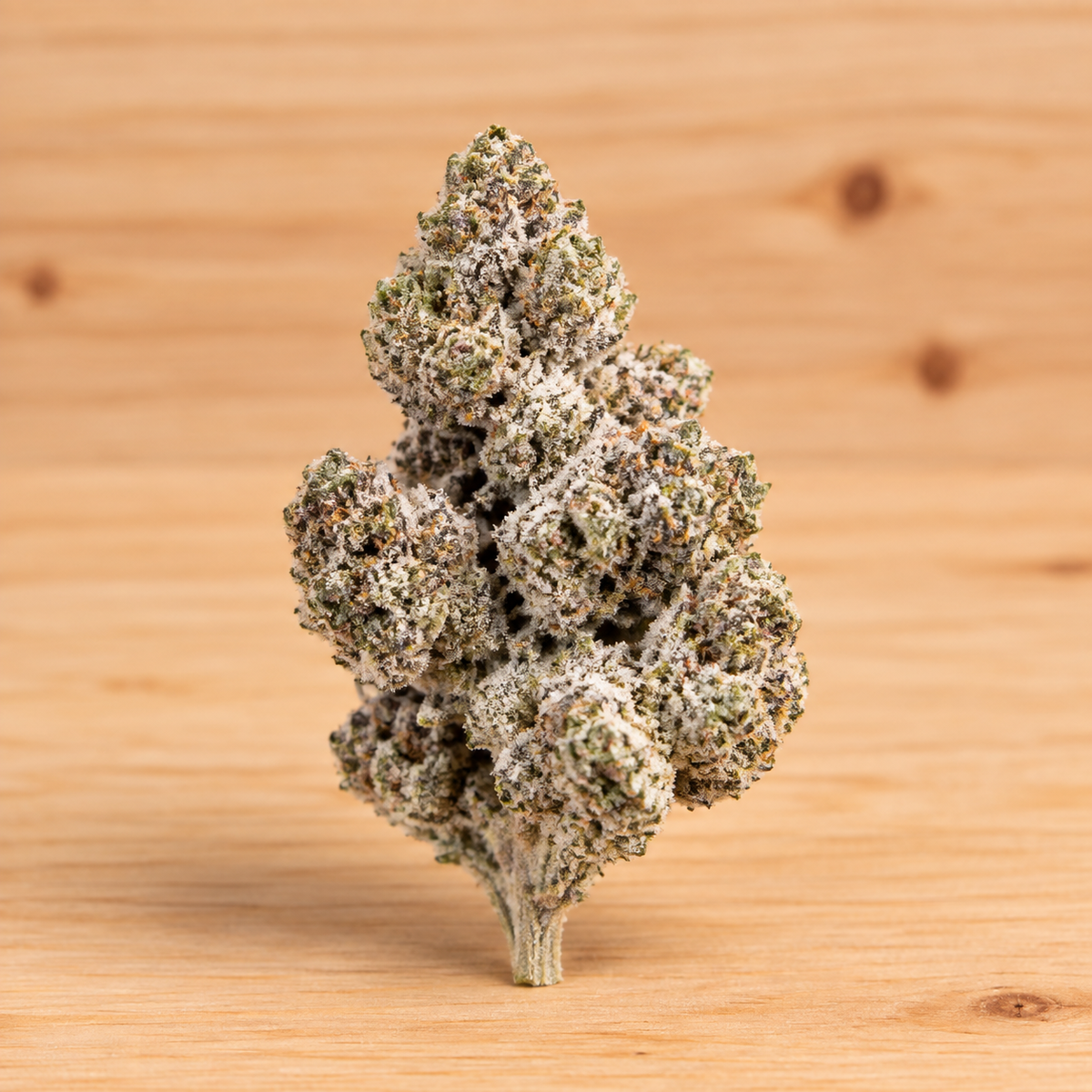 LA Runtz | 25% THCA