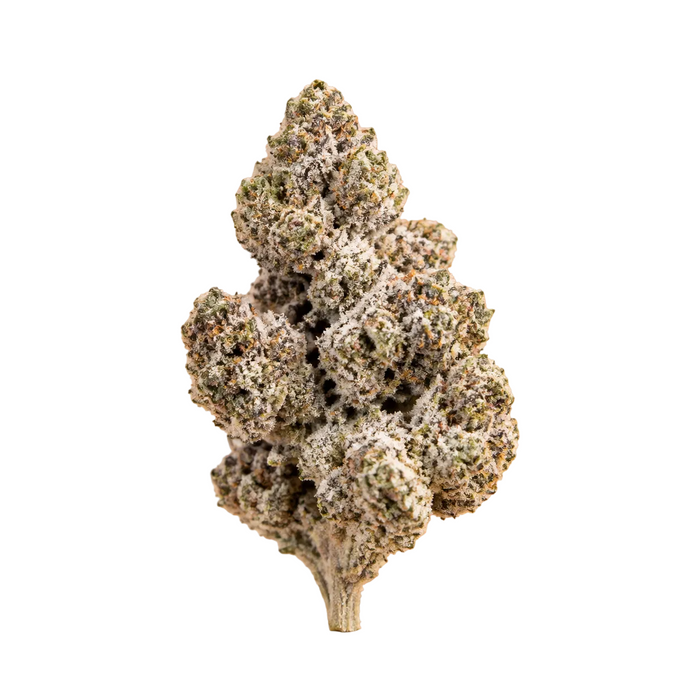 LA Runtz | 25% THCA