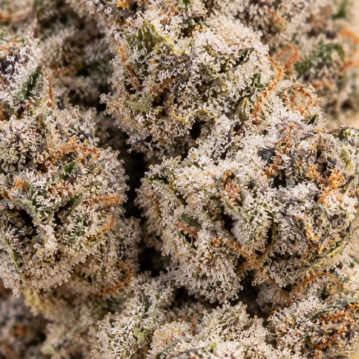 LA Runtz | 25% THCA