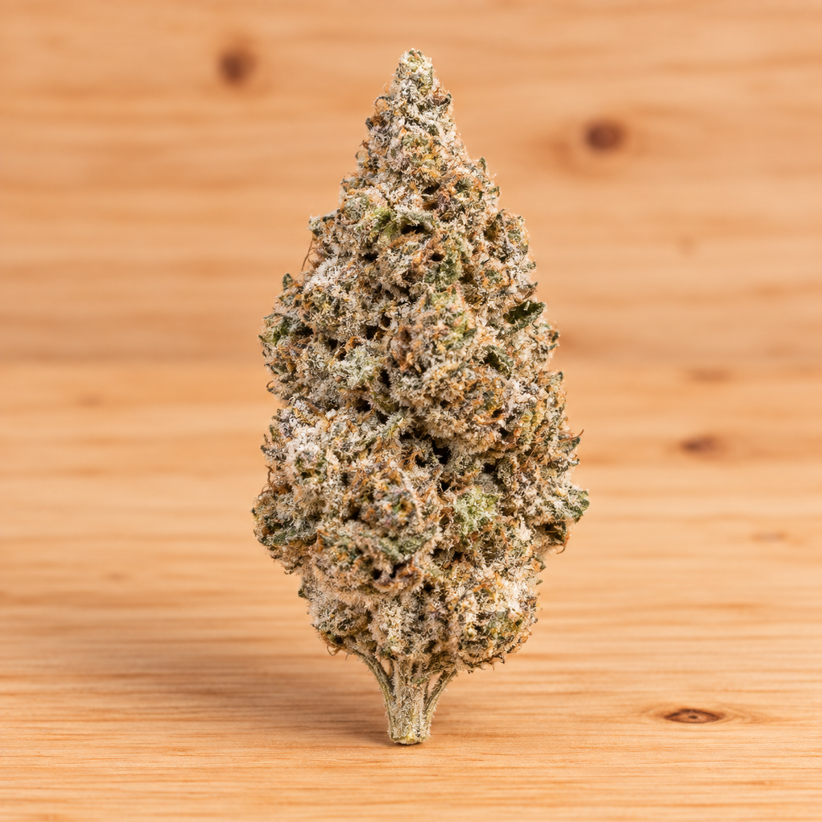 N*1 Sativa | 23% THCA