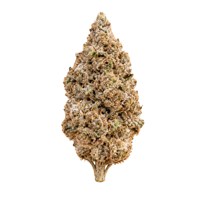 N*1 Sativa | 23% THCA