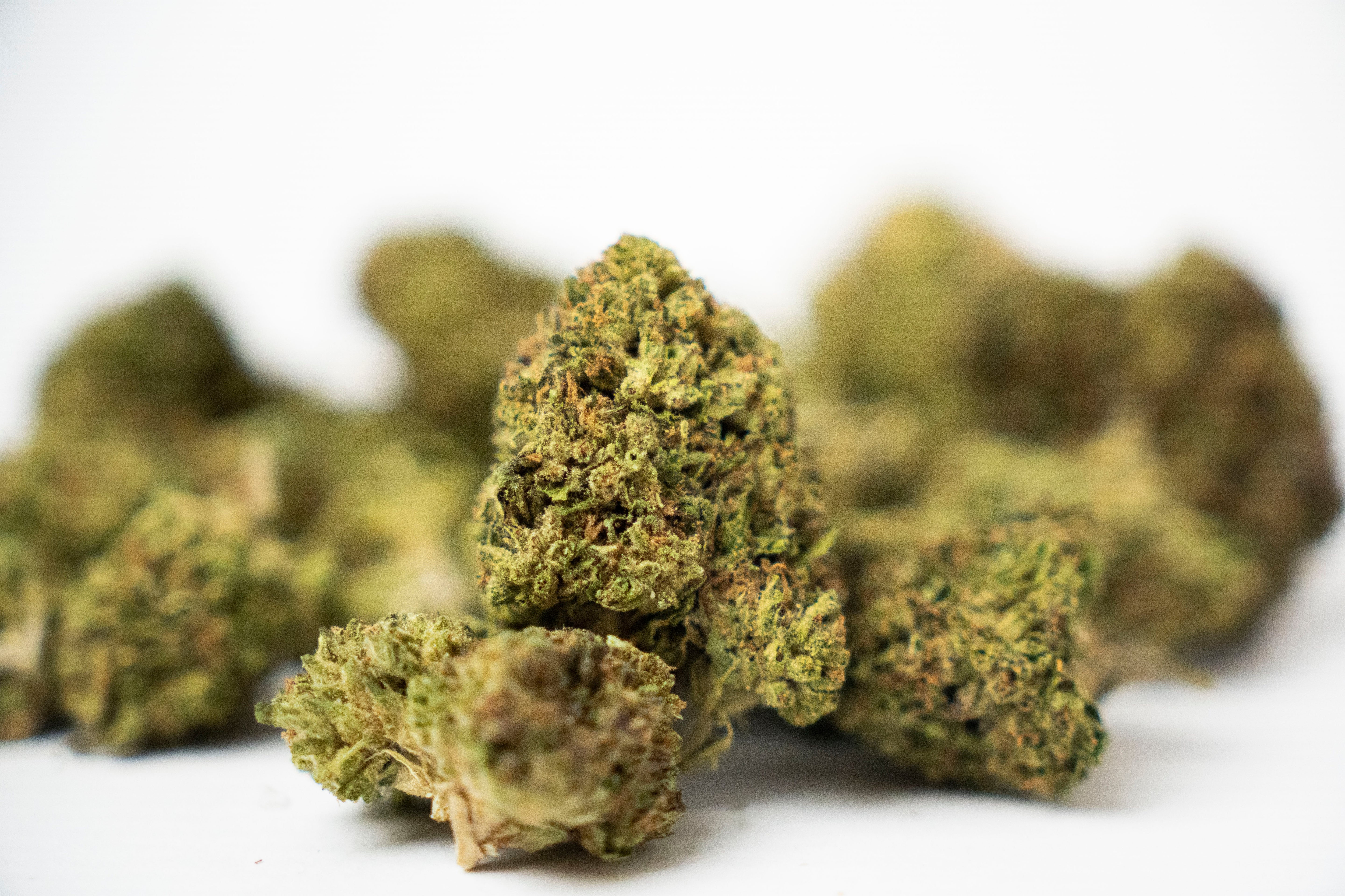 28% THCA Topskud DK | Ice Cream Cake 28% THCa | WEEDSTOP