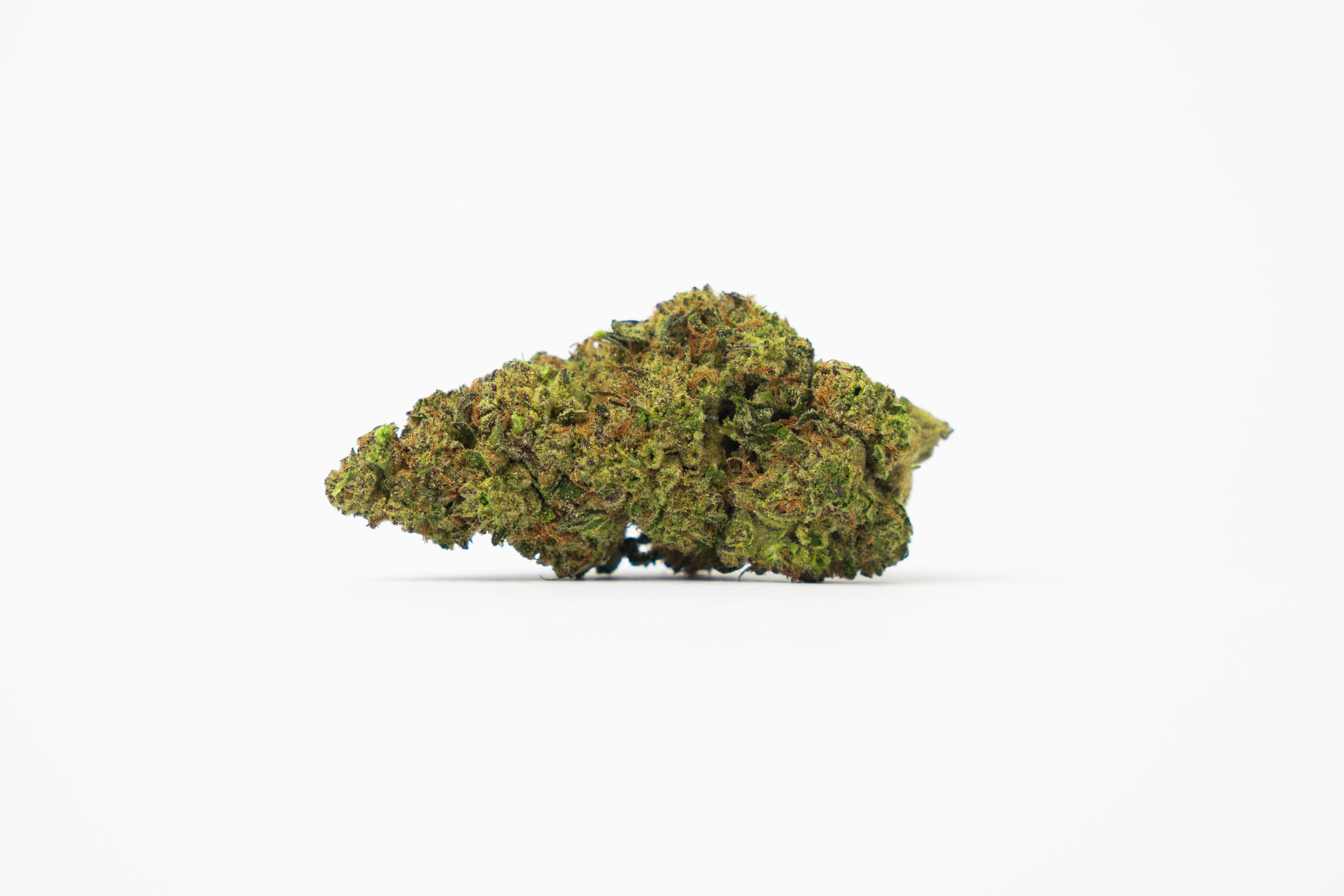 24% THCA Topskud | Hash Burger 24% THCA | WEEDSTOP