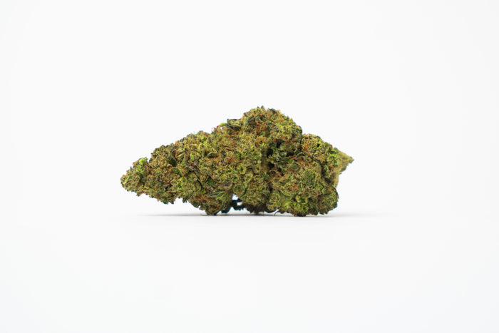 Hash Burger | 24% THCA
