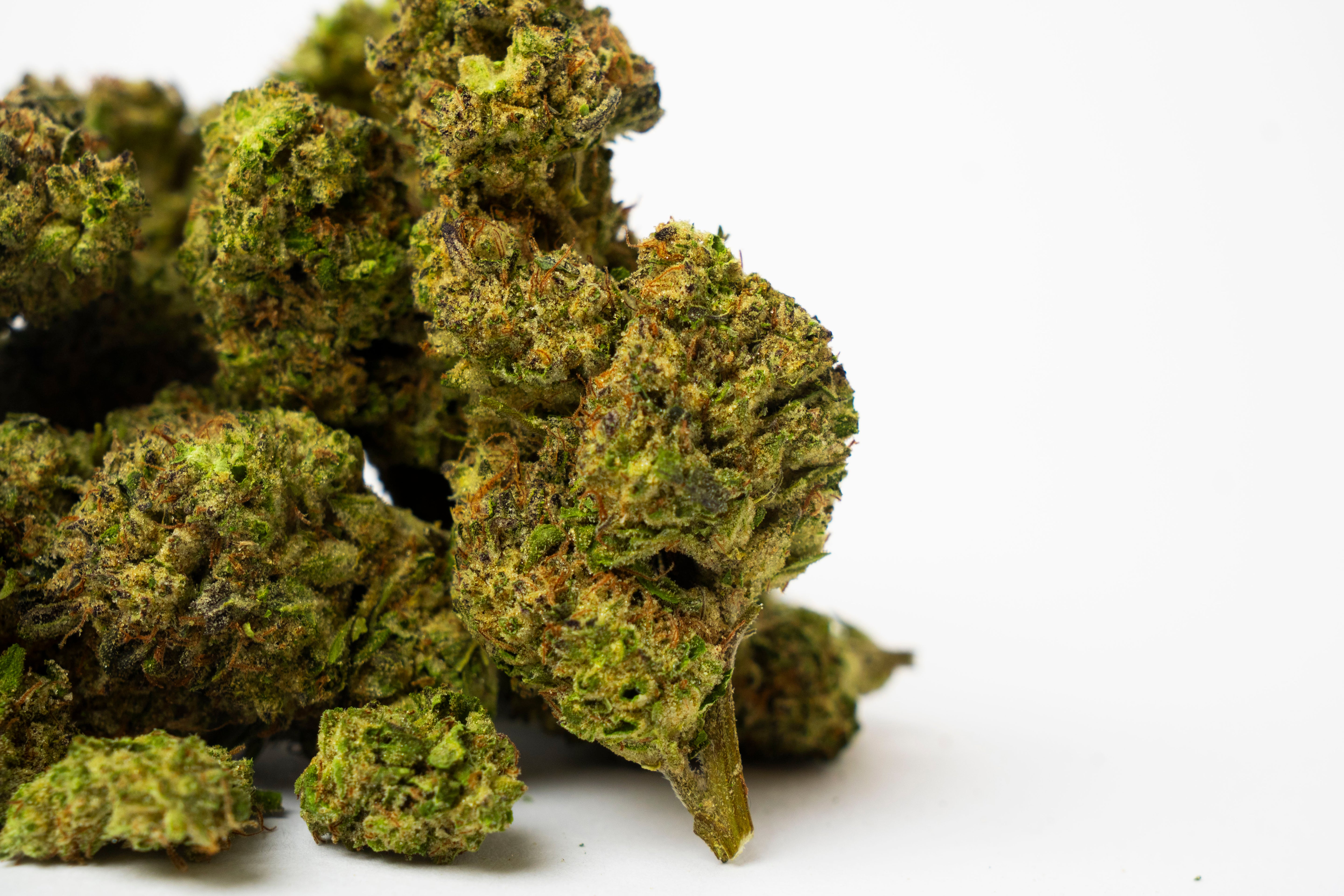 24% THCA Topskud | Hash Burger 24% THCA | WEEDSTOP
