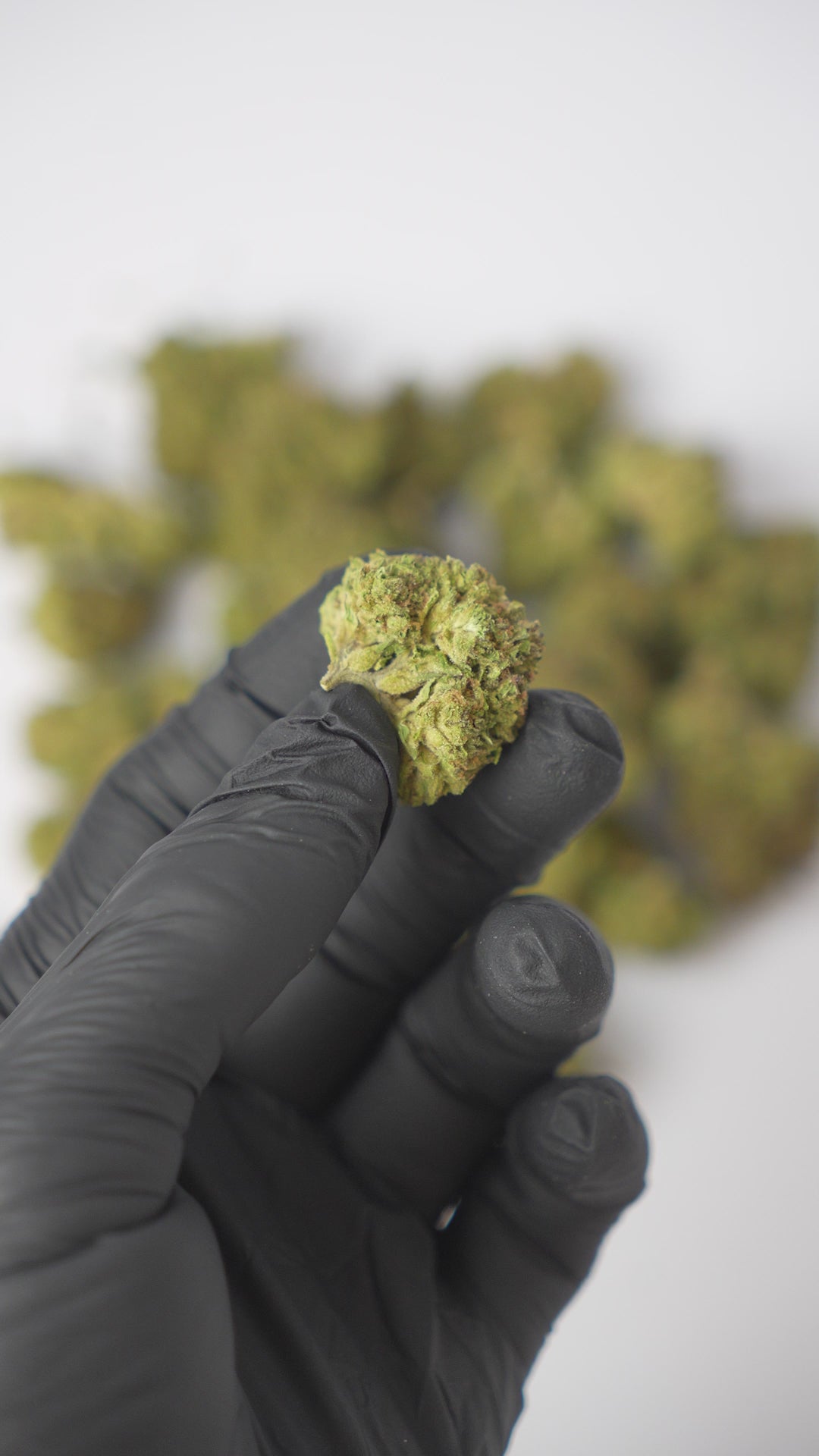 Blueberry Muffin 23% THCa | CBD Topskud Danmark | WEEDSTOP